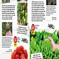 Antevisão Folheto PINGO DOCE Produção Nacional Promoções de 19 a 25 maio p4.jpg